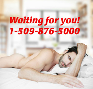 Free Gay Phone Chat Lines